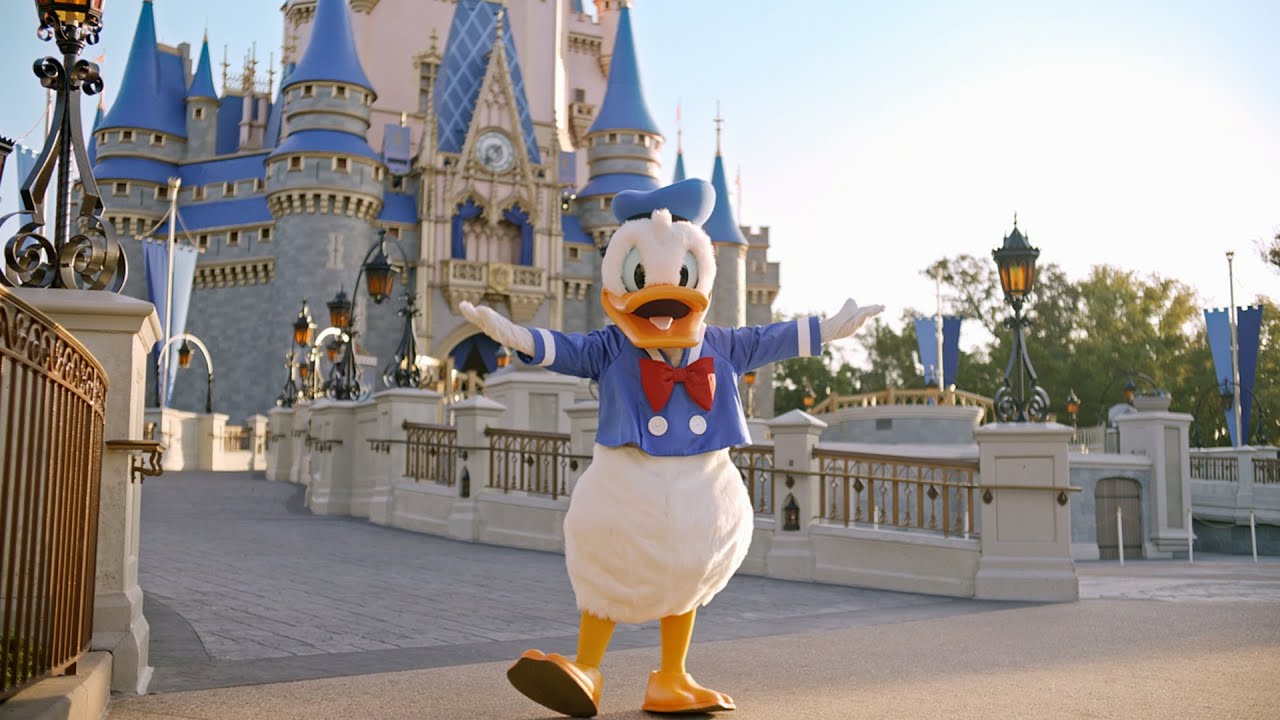 Donald Ducks 90th Birthday Disney NL
