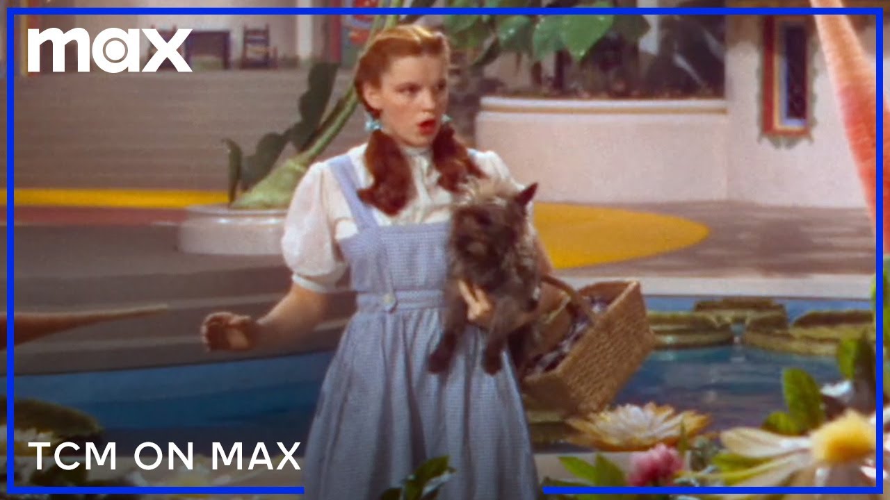 TCM on Max
