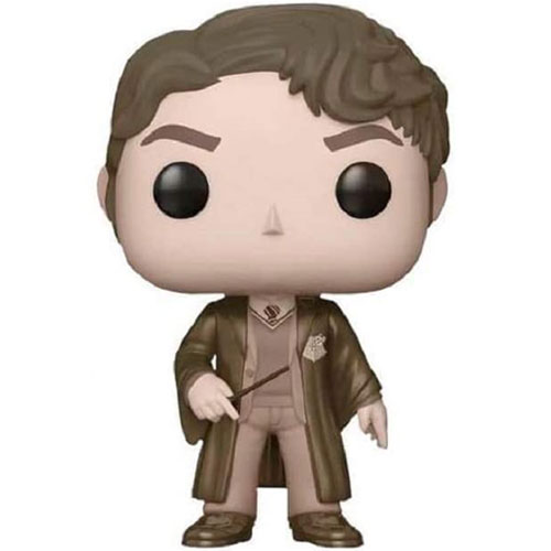 Tom Riddle Funko Pop Verzamelfiguur