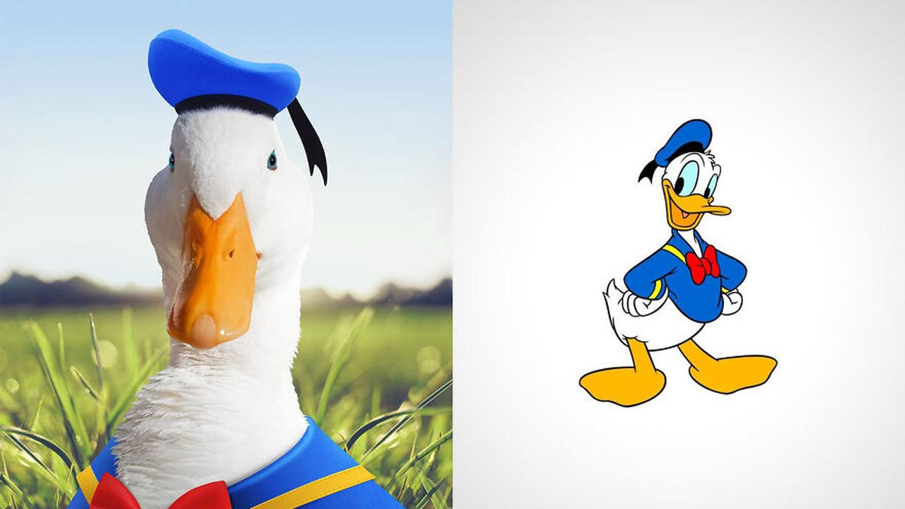 realitische donald duck
