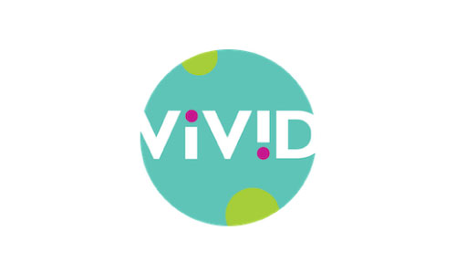 Vivid Toys